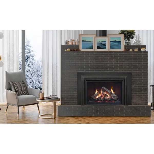 Encastrable au gaz Ri30 de Enviro