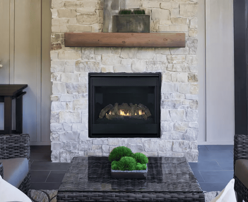 Foyer au gaz SlimLine Series de Heat & Glo