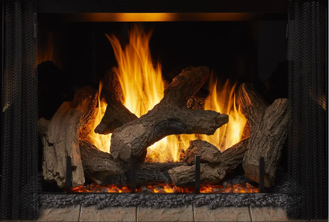 Foyer au gaz Phoenix TrueView de Heat & Glo