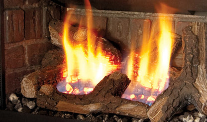 Encastrable au gaz E20 de Enviro