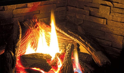 Encastrable au gaz E44 de Enviro