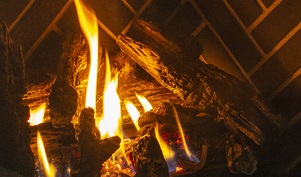 Foyer au gaz Q2 de Enviro